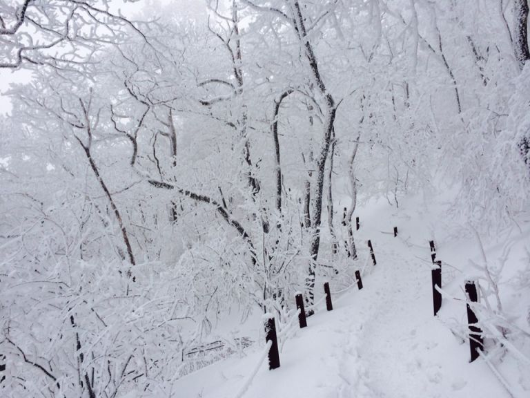 소백산