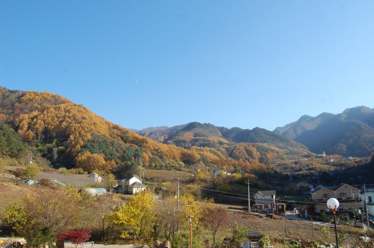 큰양지의 가을
